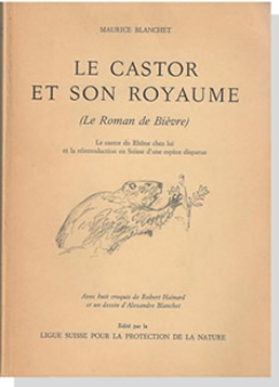 castor1_75