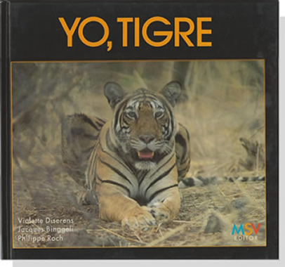 yo_tigre75