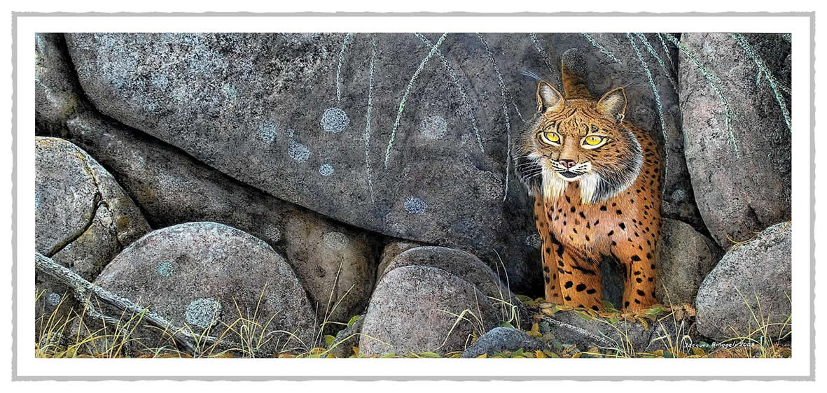 dlynxpardel