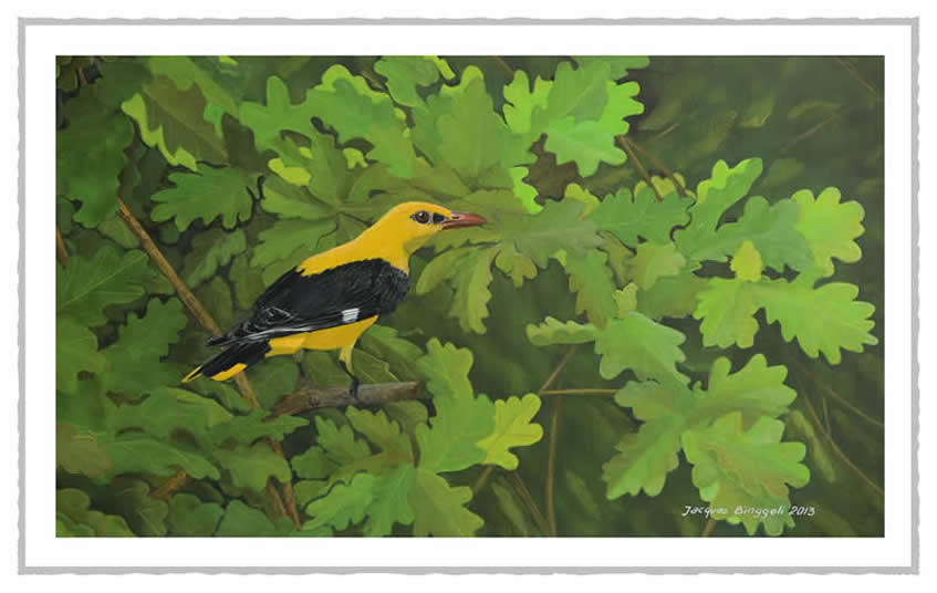 eloriot
