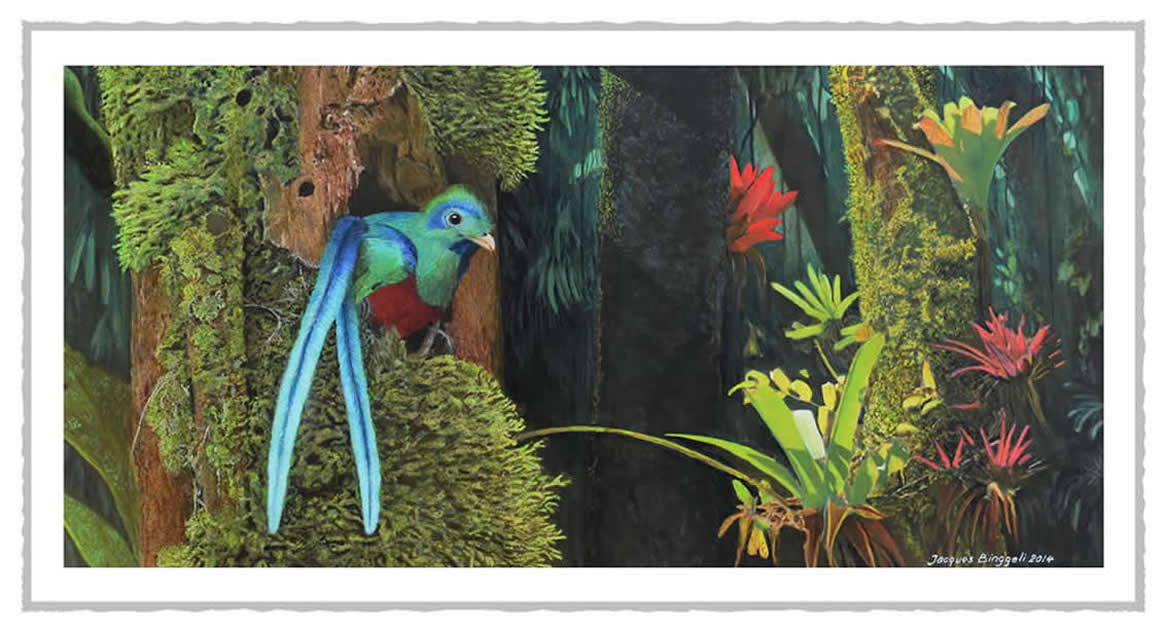 fquetzal