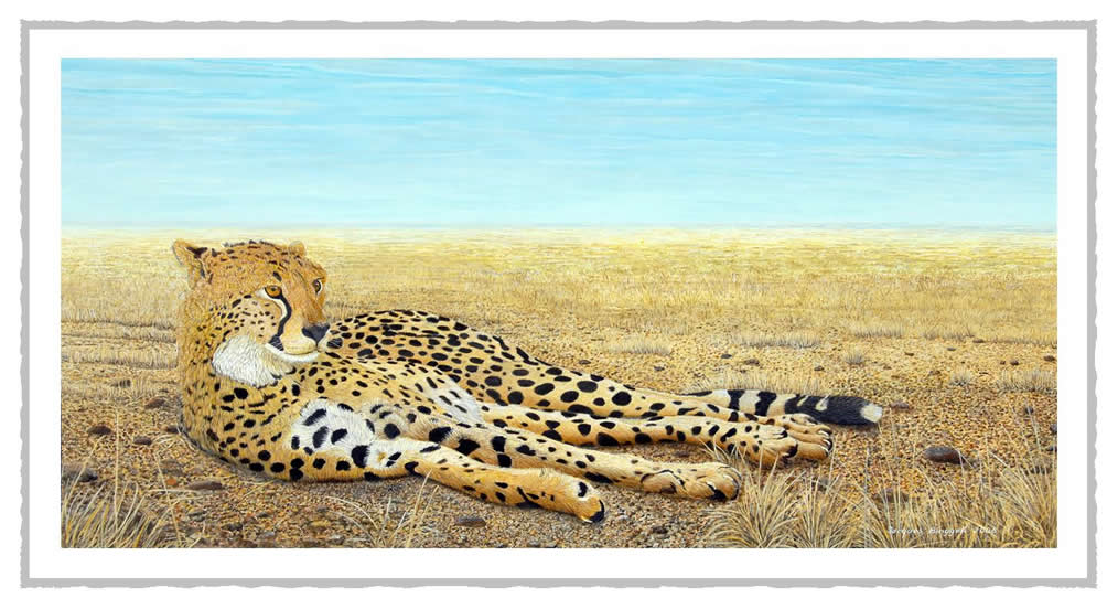 gguepard