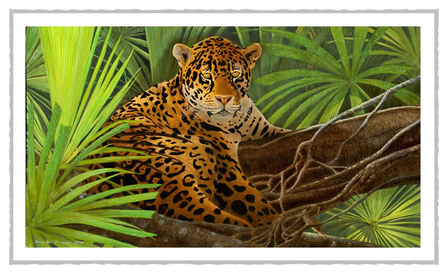 gjaguar