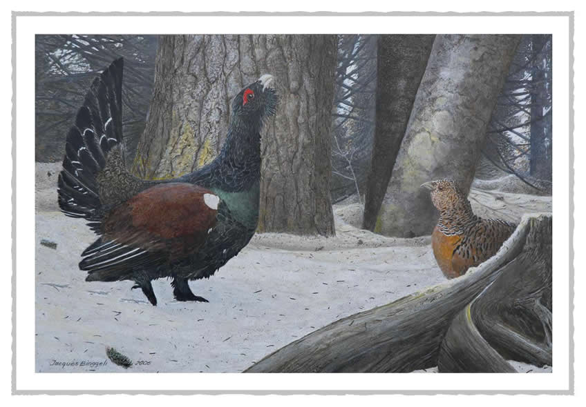 igrandcoq