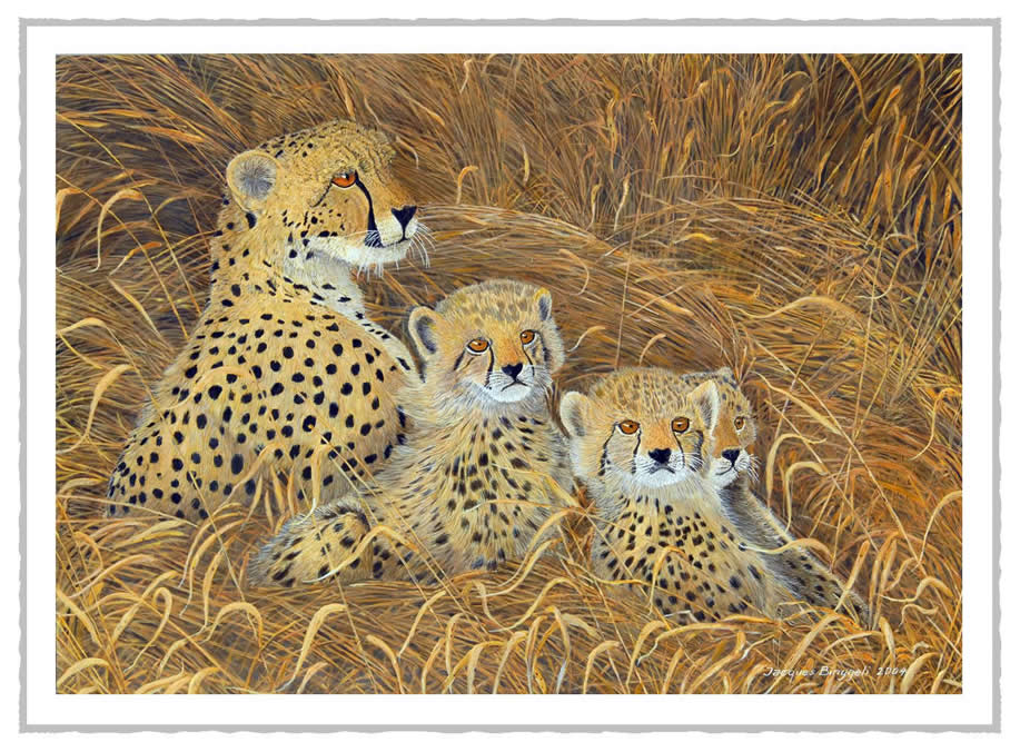 kguepard