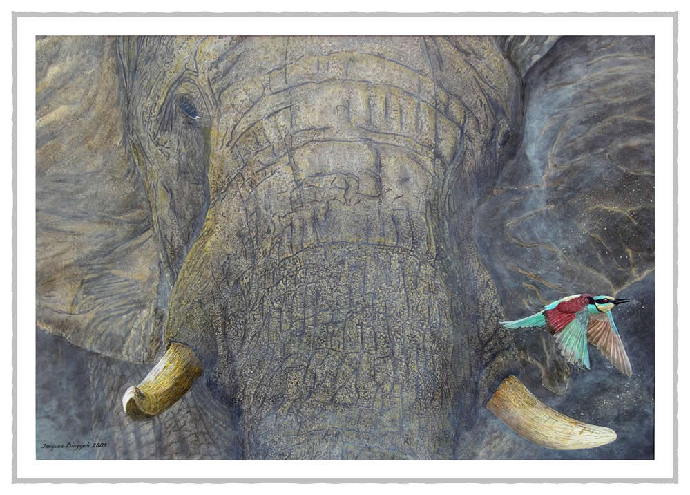 lelephant
