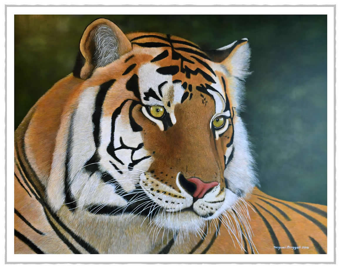 mtigre2