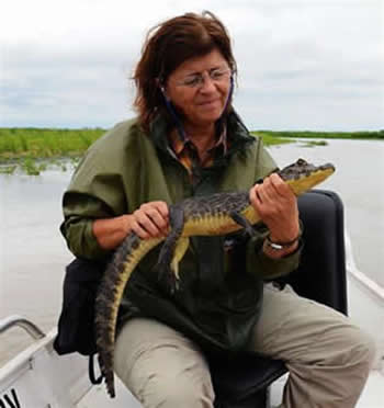 caiman5