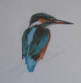 bio_martin