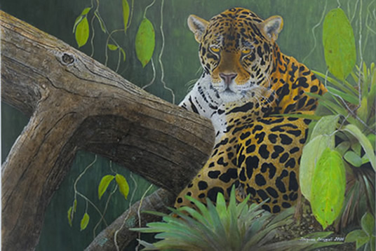 in_jaguar